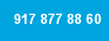 917 877 88 60